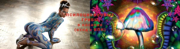 сатива Алексин