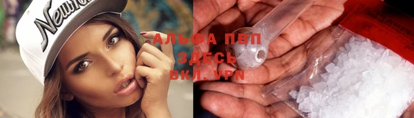 сатива Алексин